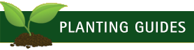 Planting Guides